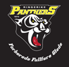 panthers 100