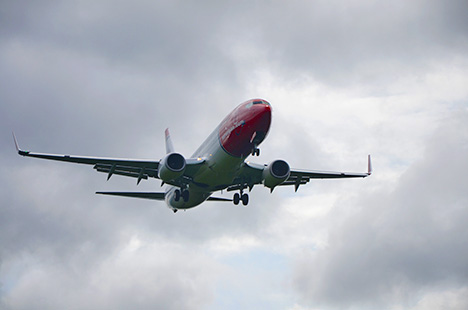 fly