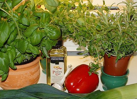 basilikum oregano rosmarin 1