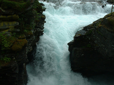 foss