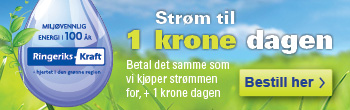 rk 1kr dagen