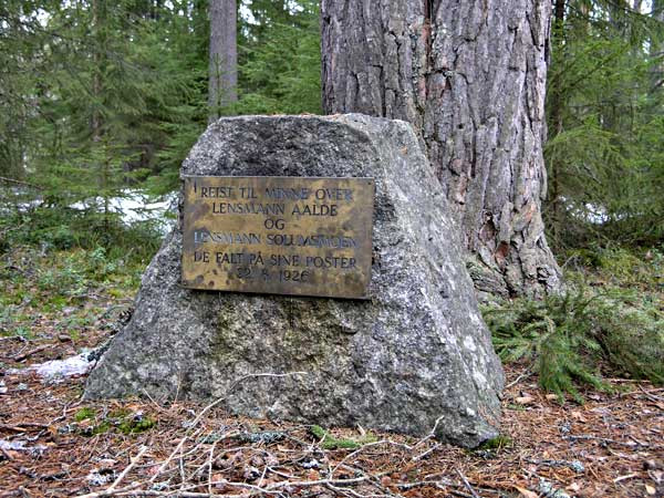 minnestein