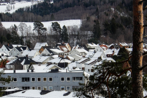 Omsetning av eiendommer i Ringerike kommune uke 5