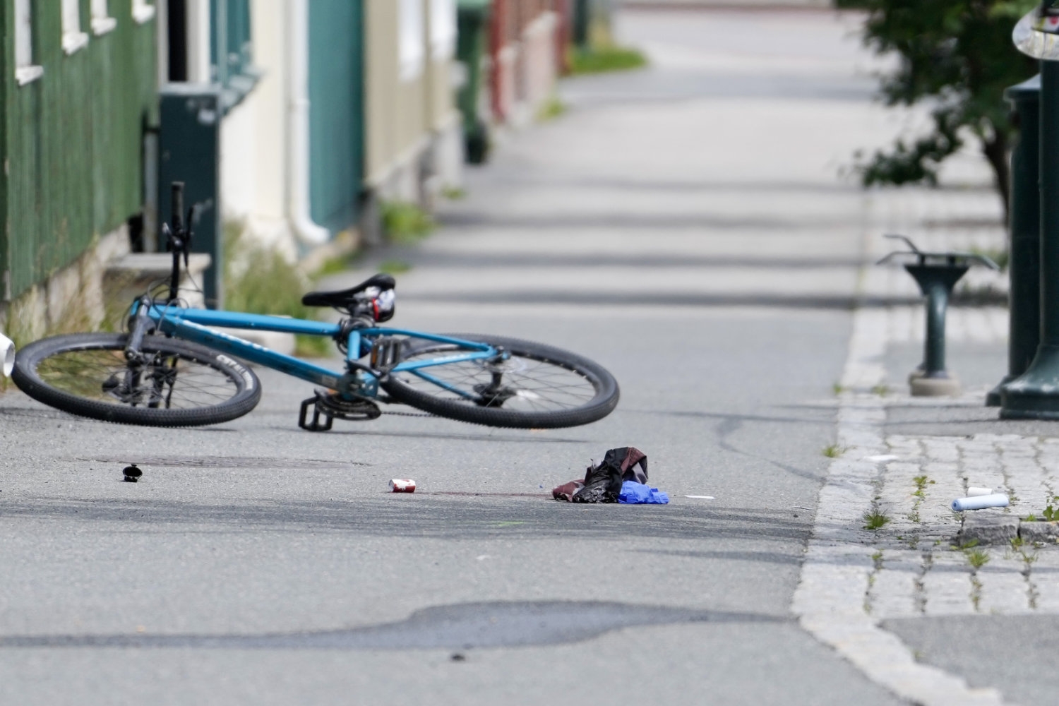 Hønefoss-drapet: Siktet mann erkjenner straffskyld