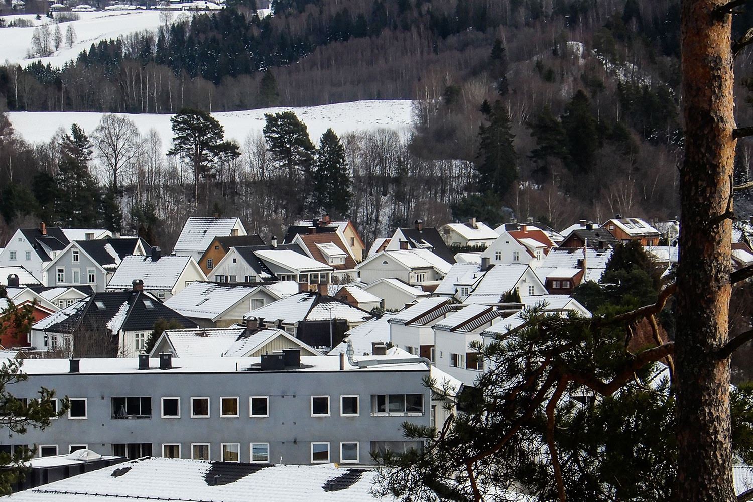 Omsetning av eiendommer i Ringerike kommune uke 10