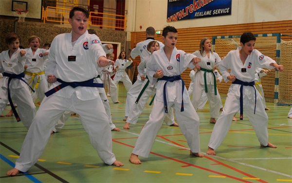 Ringerike Taekwondo Klubb: Rekordoppslutning på årets juleseminar